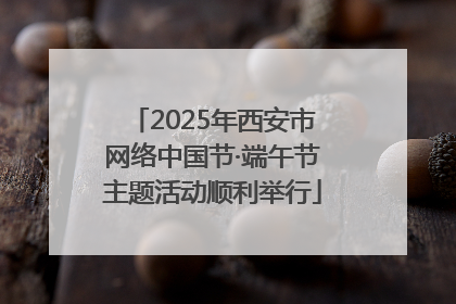 2025年西安市网络中国节·端午节主题活动顺利举行