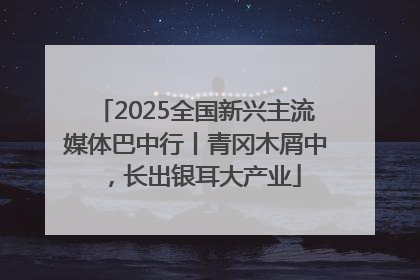 2025全国新兴主流媒体巴中行丨青冈木屑中，长出银耳大产业