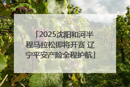 2025沈阳和河半程马拉松即将开赛 辽宁平安产险全程护航