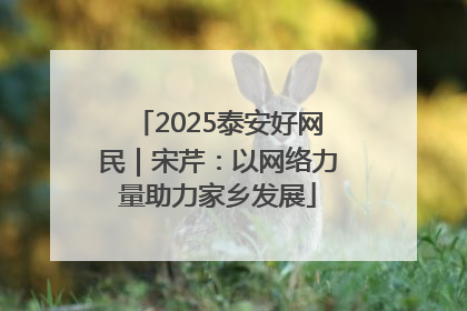2025泰安好网民｜宋芹：以网络力量助力家乡发展