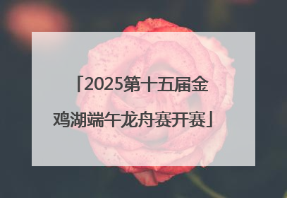 2025第十五届金鸡湖端午龙舟赛开赛