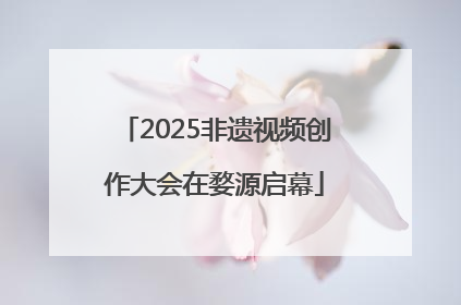 2025非遗视频创作大会在婺源启幕