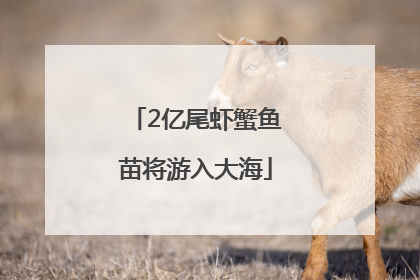 2亿尾虾蟹鱼苗将游入大海