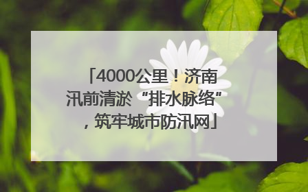 4000公里！济南汛前清淤“排水脉络”，筑牢城市防汛网