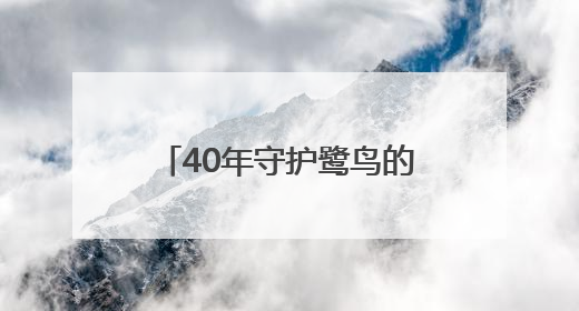 40年守护鹭鸟的他，获评“十佳生态环境志愿者”