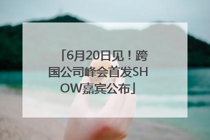6月20日见！跨国公司峰会首发SHOW嘉宾公布