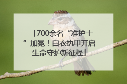700余名“准护士”加冕！白衣执甲开启生命守护新征程