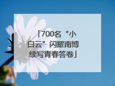 700名“小白云”闪耀南博续写青春答卷