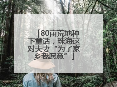 80亩荒地种下童话，珠海这对夫妻“为了家乡我愿意”