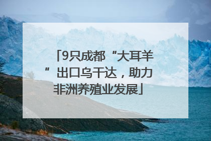 9只成都“大耳羊”出口乌干达，助力非洲养殖业发展