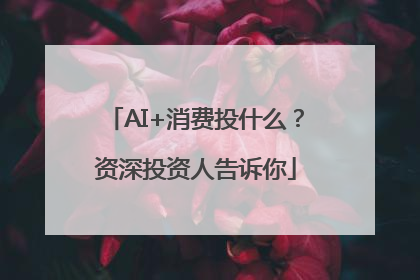 AI+消费投什么？资深投资人告诉你