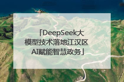 DeepSeek大模型技术落地江汉区 AI赋能智慧政务