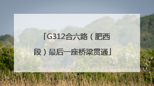 G312合六路（肥西段）最后一座桥梁贯通